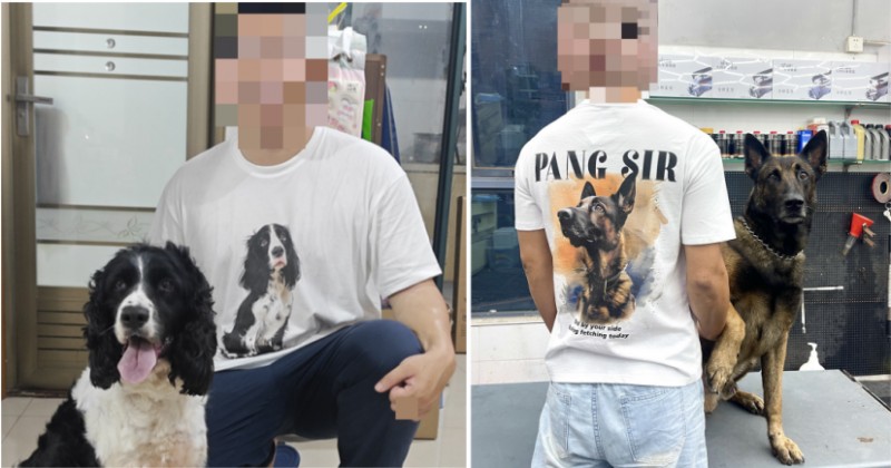 宠物个性化服装定制 宠物个性化服装定制
