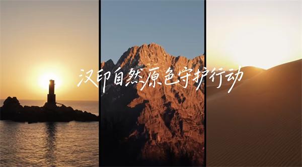 必发7790三原色守护行动 必发7790三原色守护行动